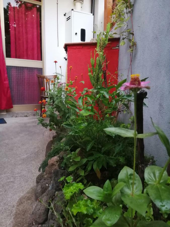 B&B Daddanca Ales Exterior photo